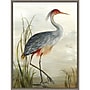 Amanti Art Grey Heron by Aimee Wilson Framed Canvas Wall Art Print, 23" x 30" (A42675530282)~#|#~3500195A-2F0E-4897-82C5CC62B0BD4722_sc7