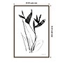 Amanti Art Paradise Botanicals I by Danhui Nai Framed Canvas Wall Art Print, 23" x 33" (A42678302435)~#|#~351B2429-4572-4913-96602391DE6AC1C9_sc7