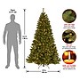 National Tree Company North Valley Spruce Artificial Christmas Tree (NRV7-300-65)~#|#~3531A9E0-1E8F-4420-A860C625CC110FBA_sc7