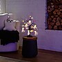 Nearly Natural Pre-Lit Artificial Halloween Ghost Dolls, Spiders, Bats & Pumpkins LED Ornament Tree, 18" (T5367)~#|#~35730CC6-163A-4858-9444C8A66DD9C90F_sc7