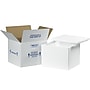 12" x 10" x 9" Insulated Shipping Containers, White (229C)~#|#~357D2AD5-6700-487B-9432B574069DE315_sc7