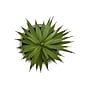 Monarch Specialties Inc. 9" Artificial Succulent Plant in Pot, 2/Set (I 9362)~#|#~3593C65E-318C-4B4B-ABF63B74370E4C3B_sc7