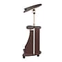 Techni Mobili 22"W Manual Adjustable Standing Laptop Cart, Chocolate (RTA-B005-CH36)~#|#~359FBA91-AA0B-4249-897AAB542304B66F_sc7
