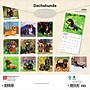 2026 BrownTrout Dachshunds 12" x 12" Monthly Wall Calendar (9798330703128)~#|#~35A02C99-739E-4B25-A821BB1DE97C9FBC_sc7