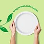 Perk™ Eco Compostable Paper Plates, 9", White, 250/Pack (PK61287)~#|#~35A56C8F-F7B5-4850-8CF853DD09F1A5CF_sc7