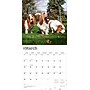 2026 BrownTrout Basset Hounds 12" x 12" Monthly Wall Calendar (9798330702329)~#|#~35B15D58-C457-4C91-A9A918EE12262DA0_sc7