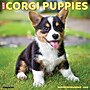 2026 Willow Creek Corgi Puppies 12" x 12" Monthly Wall Calendar (50811)~#|#~35B1887F-F50F-4DA2-B2281DED59CECCA0_sc7