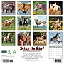 2027 Willow Creek Seize the Hay! 12" x 12" Monthly Wall Calendar, Assorted Colors (62272)~#|#~35B42E20-B7F3-4884-8361E4565D2153AD_sc7