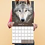 2026 TF Publishing Wolves 12" x 12" Monthly Wall Calendar, Multi (26-1035)~#|#~35B5425E-6A3B-4A25-A86957B851C17358_sc7