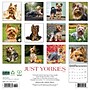 2026 Willow Creek Yorkies 12" x 12" Monthly Wall Calendar (53379)~#|#~35C08AE9-C5C7-4056-A4F3C70CE923B2C3_sc7