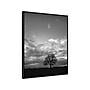 Amanti Art Horizon Tree BW, Canvas, 23" x 28" (A42675515097)~#|#~35C9ACF6-6648-4EC4-91785B24EE513736_sc7