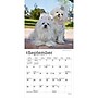 2027 BrownTrout Maltese 7" x 7" Monthly Wall Calendar (9798330710041)~#|#~35DC1739-085A-4E7A-B895867186D24FE2_sc7