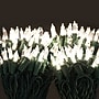Excello Global Products Indoor/Outdoor LED Holiday String Lights, White Bulb/Green Wire, 2 Strands of 25' (EGP-HL-GW-WL)~#|#~35E3C7A8-366B-4B37-829FEFA3604D7F42_sc7