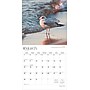 2026 BrownTrout Michigan Nature 12" x 12" Monthly Wall Calendar (9798330704583)~#|#~35E52074-BDFA-4537-9BC8A8EABF922072_sc7