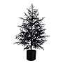 Nearly Natural Artificial Halloween Real Touch Black Norfolk Pine Christmas Tree, 4' (T5242)~#|#~35F1A457-1124-49BF-91322096CE404078_sc7