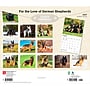2027 BrownTrout For the Love of German Shepherds 14" x 12" Monthly Wall Calendar, Assorted Colors (9798330709250)~#|#~36014605-3BE0-461B-BF648F5354330644_sc7