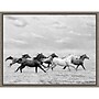 Amanti Art Horse Run I by PHBurchett Framed Canvas Wall Art Print, 24" x 18" (A42675322595)~#|#~360CB60B-1EA6-4137-8AFDCD32C3D727B2_sc7
