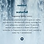 Method Foaming Hand Soap Refill, Waterfall Scent, 28 Fl. Oz. (328107)~#|#~361A5C3A-275D-49AE-BFE5F06893CA6DFD_sc7