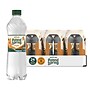 Poland Spring Orange Sparkling Purified Water, 16.9 oz., 24/Carton (12349571/122060)~#|#~362C344C-F304-4A1E-930DAB1F8F3CF635_sc7