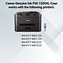Canon PGI-1200 XL Cyan High Yield Ink Cartridge  (9196B001)~#|#~364B9912-EA20-4748-8CD666C30107F9D0_sc7