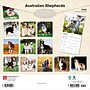2026 BrownTrout Australian Shepherds 12" x 12" Monthly Wall Calendar (9798330702220)~#|#~3668DC3E-DCC5-4399-A5FD7646EA6A4B69_sc7