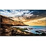 Samsung QET Series 65" Display for Digital Signage (QE65T)~#|#~366A593C-9517-4E13-9C27CF155CEB04CE_sc7