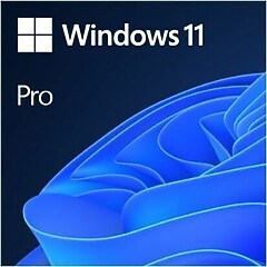 Microsoft Windows 11 Pro 64-bit box pack, 1 license, USB (HAV