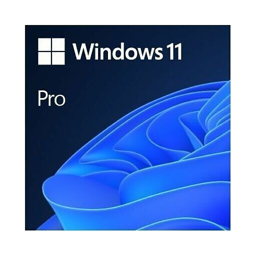 Microsoft Windows 11 Pro 64-bit box pack, 1 license, USB (HAV