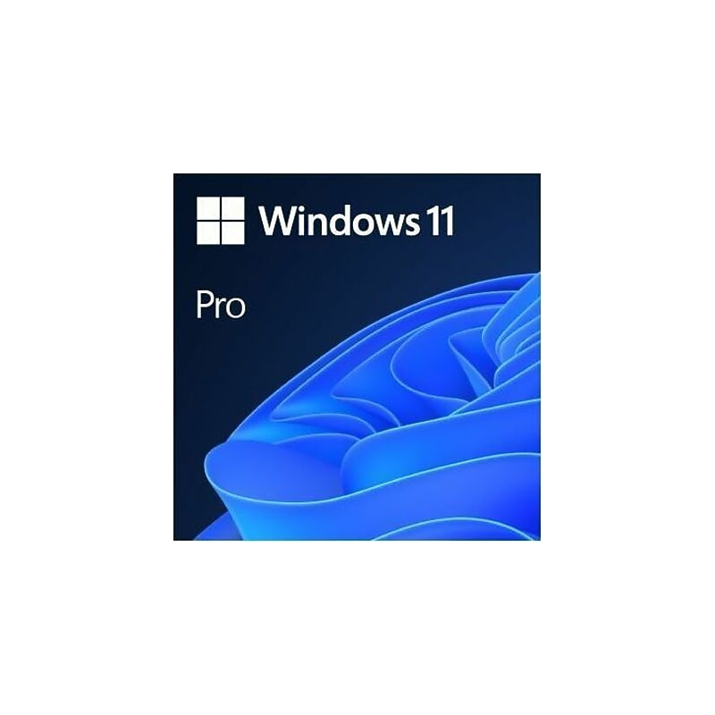 Microsoft Windows 11 Pro 64-bit box pack, 1 license, USB (HAV-00162) image 1