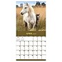 2027 TF Publishing Horses 12" x 12" Monthly Wall Calendar (27-1012)~#|#~367BDF4C-EFDA-476D-A69E599892908D54_sc7