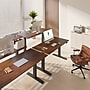 FlexiSpot E7COMMERCIAL 60''W Electric Height Adjustable Standing Desk, Black Walnut/Black(E7BCOM6030-BW)~#|#~368FBDC8-3590-4ECA-A9CBA0CCE5A1F370_sc7