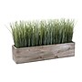 Monarch Specialties Inc. 12" Artificial Grass Plant in Pot (I 9374)~#|#~36945011-CE34-42FE-B83F0C79B913EF86_sc7