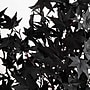 Nearly Natural Pre-Lit Artificial Halloween Black Maple Tree, 5' (T5218)~#|#~36B9EF7E-E40F-4A80-9F433AEE23D02699_sc7