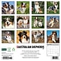 2027 Willow Creek 12" x 12" Monthly Wall Calendar, Assorted Colors (58930)~#|#~36CC4668-B9E4-46C4-B2A6F0B500BB6591_sc7