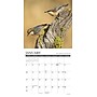 2027 Willow Creek Backyard Birds 7" x 7" Monthly Wall Calendar (63897)~#|#~36D84B16-03DA-4760-A6117071F7BF6819_sc7