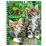 2027 BrownTrout Kittens 6.5" x 7.8" Calendar Year Weekly Standard Planner, Multicolor (9798330709434)~#|#~36D9AA45-1FBB-45D8-A4105A8AE3336FE1_sc7