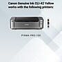 Canon 42 Yellow Standard Yield Ink Cartridge   (6387B002)~#|#~36E3B7A6-8D28-4517-B1B81C75895C297C_sc7