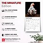2027 BrownTrout Chickens 7" x 7" Monthly Wall Calendar, Assorted Colors (9798330709786)~#|#~36F11B6B-30CC-4895-A790441C8D394FDF_sc7