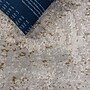 Safavieh Palma 5' x 7' Rectangle Indoor Area Rug, Machine Made, Gray/Gold (PAM366G-5)~#|#~370AA6B1-F210-40A9-A21340C4DD58435F_sc7