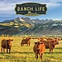2026 TF Publishing Ranch Life 12" x 12" Monthly Wall Calendar (26-1042)~#|#~370BF788-AFA3-4953-B582602D36B8D871_sc7