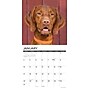 2027 Willow Creek 12" x 12" Monthly Wall Calendar, Assorted Colors (62807)~#|#~371967C9-15E7-4AAB-82B31701CAC6FEAF_sc7