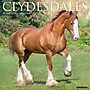 2027 Willow Creek Clydesdales 12" x 12" Monthly Wall Calendar, Assorted Colors (59784)~#|#~37289930-4C13-43CA-98B54CFEED573C66_sc7