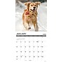 2027 Willow Creek 12 Uses for a Golden 12" x 12" Monthly Wall Calendar, Assorted Colors (58589)~#|#~3756100D-3DF3-4EC6-A272743BEEB5A85C_sc7