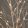 Nearly Natural 6' Pre-Lit Artificial White Birch Tree with 90 White LED Lights (T4931)~#|#~375BDD2A-6C4B-4FE4-8AB15E098FDE4E7E_sc7