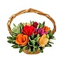 National Tree Company 10" Spring Multicolor Floral Basket (EG79-19B0162-1)~#|#~37629463-B4E6-4A71-B5B8B2846822E2D9_sc7