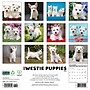 2026 Willow Creek Westie Puppies 12" x 12" Monthly Wall Calendar (53126)~#|#~3782DD71-D723-4508-A270DD1A320D37F3_sc7