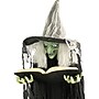 Haunted Hill Farm Life-Size Poseable Witch with Spell Book (HHWITCH-9FLS)~#|#~3792CF04-04F4-4BA2-A20BAA3D7494D8CD_sc7