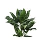 Monarch Specialties Inc. 42" Artificial Evergreen Tree in Pot (I 9512)~#|#~379AE1AB-22B3-4EE7-85713680D37490FA_sc7