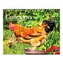 2027 BrownTrout Chickens 7.5" x 6" Monthly Wall Calendar, Assorted Colors (9798330709380)~#|#~37A3F9D2-C924-4A15-A4ED9AC7F20B15A7_sc7