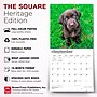 2027 BrownTrout Chocolate Labrador Retriever Puppies 12" x 12" Monthly Wall Calendar (9798330712533)~#|#~37EB7A6F-EE5A-4A0E-A57FE69EDF292F5C_sc7